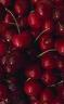 background: Cherries