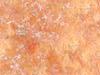 tileable background