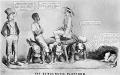 background: Caricature of Democratic platform