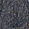 background: Little stones