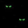 background: Eyes in the dark