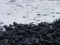 background: Road to Hana