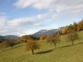 background: Autumn