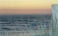 background: Salmon Creek Sunset
