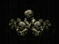 background: skulls
