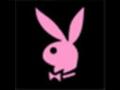 background: Playboy Bunny