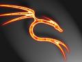 background: Flaming Dragon on Carbon Fiber