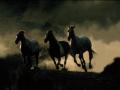 background: Horses running in night dust
