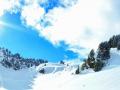 background: Vercors1