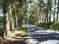 background: Drive this way