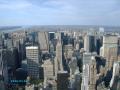 background: NYC