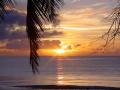 background: Breezy Paradise