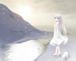 background: White Desolution