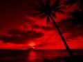 background: Red Night