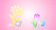 background: welcome to my home page